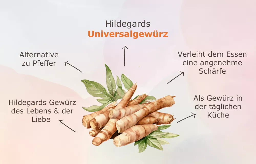 Wunderpflanze Galgant - das Hildegard von Bingen Gewürz für jeden Tag